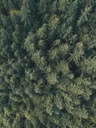 jeremy-allouche-734792-unsplash