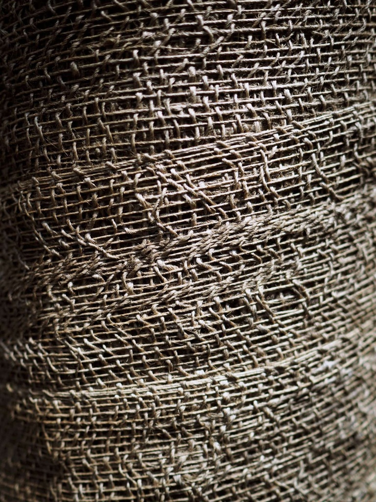 ra-dragon-Ml1aWKOxHnk-unsplash