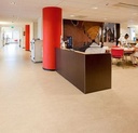 Linoleum Jokalino Real 2,5mm Kl. 1007 Rosato 3120 x 200 (1)