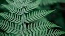 john-salzarulo-CkiWSExXjDU-unsplash