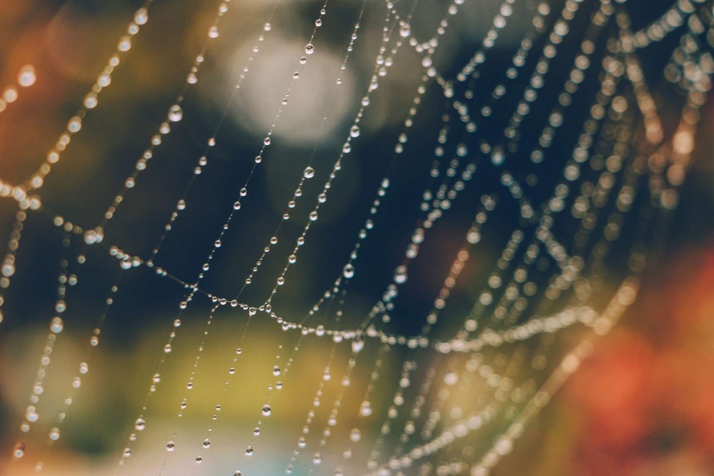 paul-carmona-kdBN8hHLjF0-unsplash