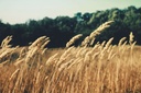 zugr-kmF_Aq8gkp0-unsplash-min