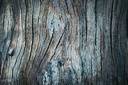 Style Pro 7 TFD Floortile tim-mossholder-xnhJb3gD63w-unsplash-min