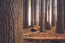 TFD Floortile Pro+ 45-2 liam-pozz-Iwo1GuxCeGg-unsplash-min