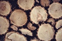 TFD Floortile Pro+ 45-4 dejan-zakic-sMa6hfJuIO4-unsplash-min