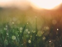 Style register 7260-2 TFD aaron-burden-3TmLV0fLzfU-unsplash