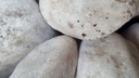full-frame-shot-rocks