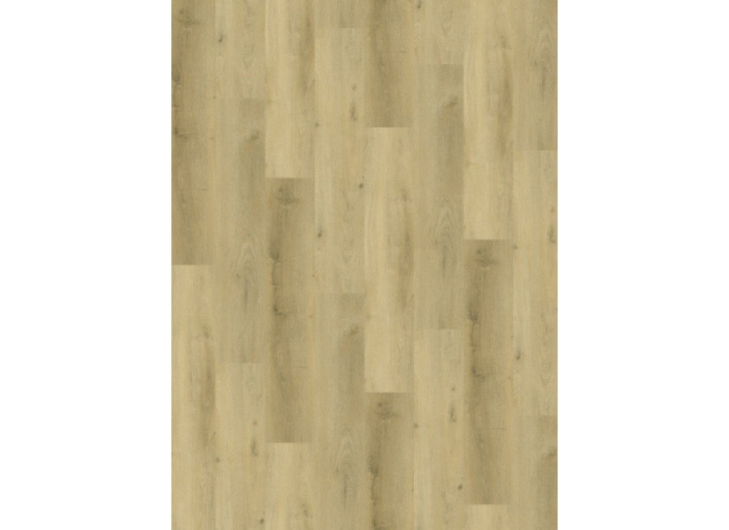 [CAT-GELASTA-VARIO-5904-RIGID-CLICK-PRESTIGE-OAK-LIGHT] Vario 5904 (rigid click) Prestige Oak Light