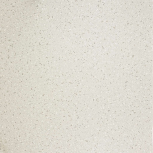 [CAT-TFD-FLOORTILE-TERRAZZO-BEIGE] Terrazzo Beige