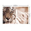 JOKA Fotobehang P182 400 cm br x 267 cm hg 130 grams vlies mat (1)