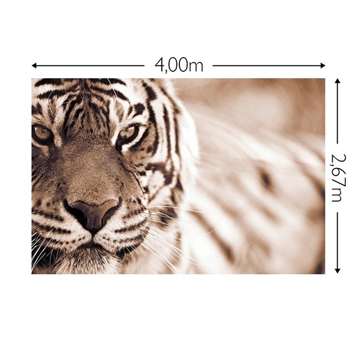 JOKA Fotobehang P182 400 cm br x 267 cm hg 130 grams vlies mat (1)