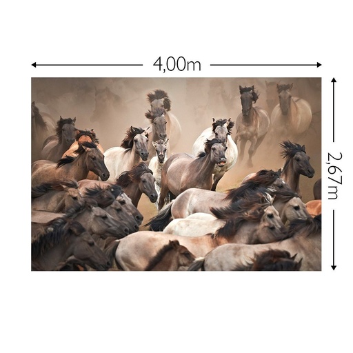 JOKA Fotobehang P183 400 cm br x 267 cm hg 130 grams vlies mat (1)