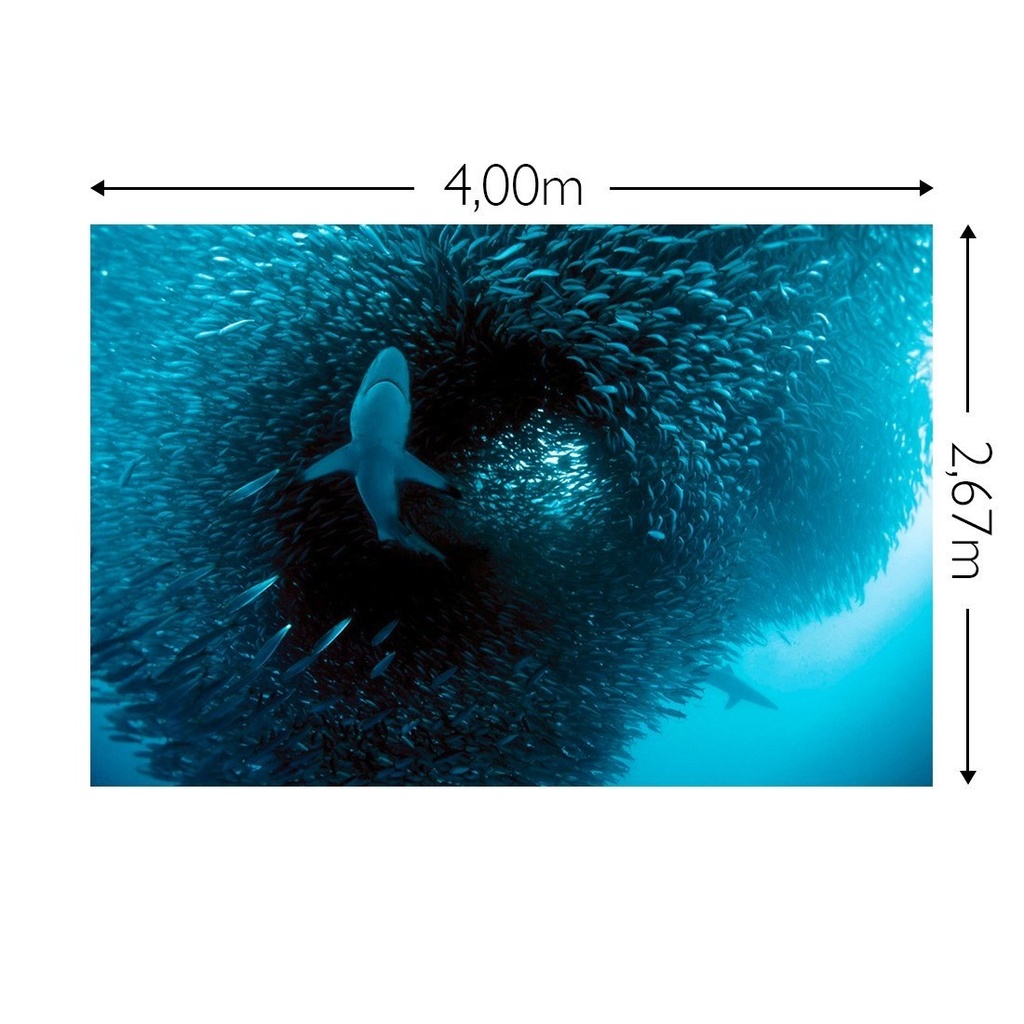 JOKA Fotobehang P185 400 cm br x 267 cm hg 130 grams vlies mat (1)