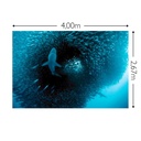 JOKA Fotobehang P185 400 cm br x 267 cm hg 130 grams vlies mat (1)