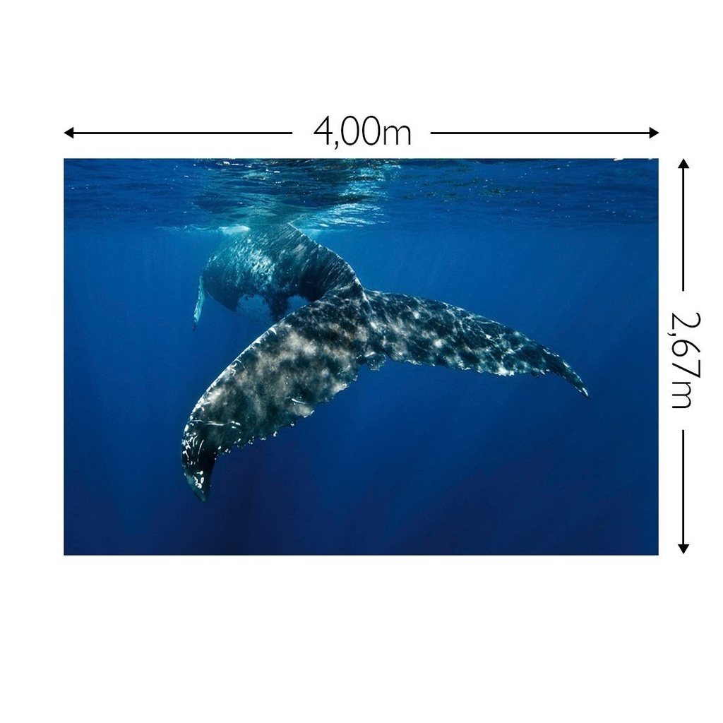 JOKA Fotobehang P186 400 cm br x 267 cm hg 130 grams vlies mat (1)