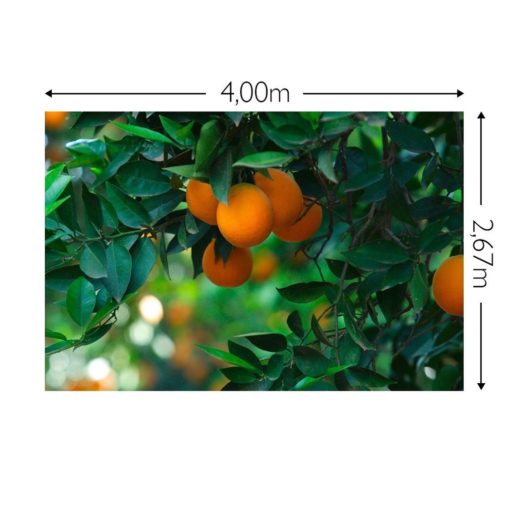 JOKA Fotobehang P217 400 cm br x 267 cm hg 130 grams vlies mat (1)