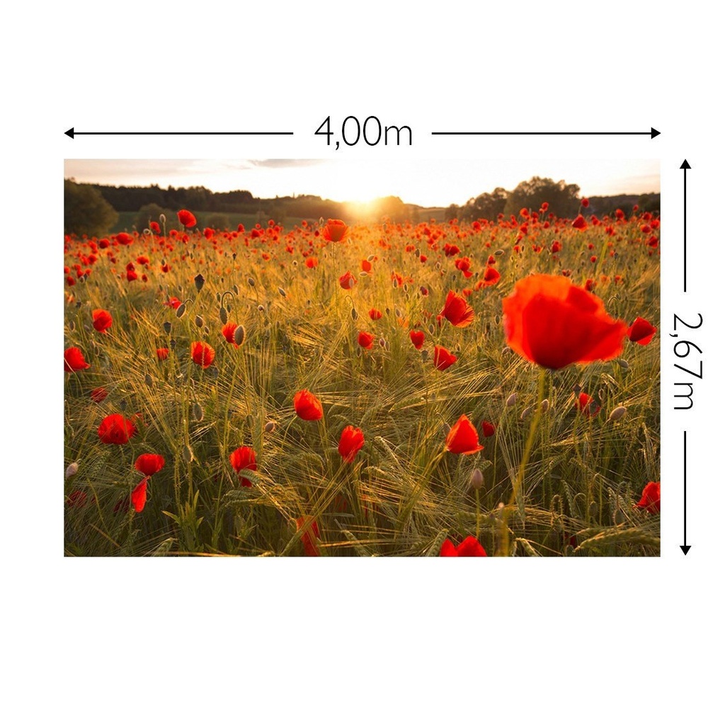 JOKA Fotobehang P220 400 cm br x 267 cm hg 130 grams vlies mat (1)