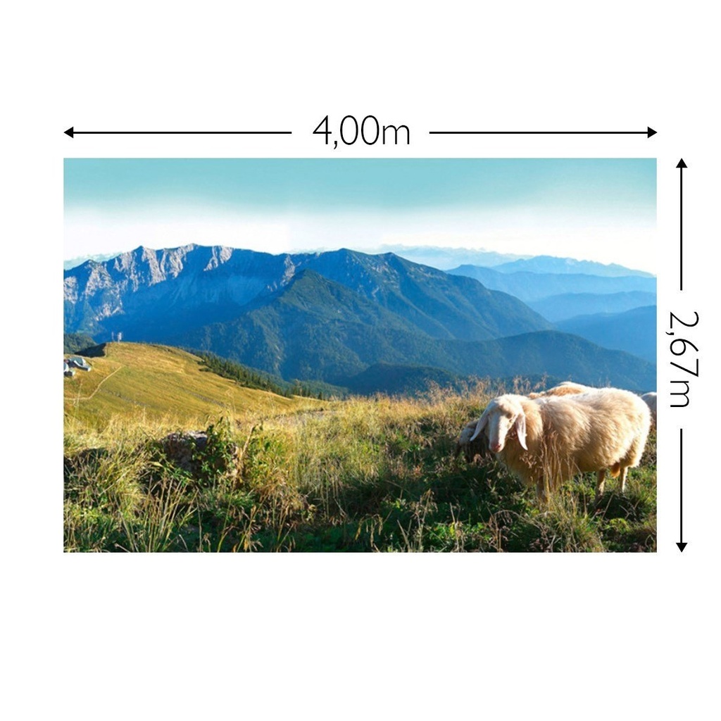 JOKA Fotobehang P231 400 cm br x 267 cm hg 130 grams vlies mat (1)