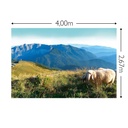 JOKA Fotobehang P231 400 cm br x 267 cm hg 130 grams vlies mat (1)