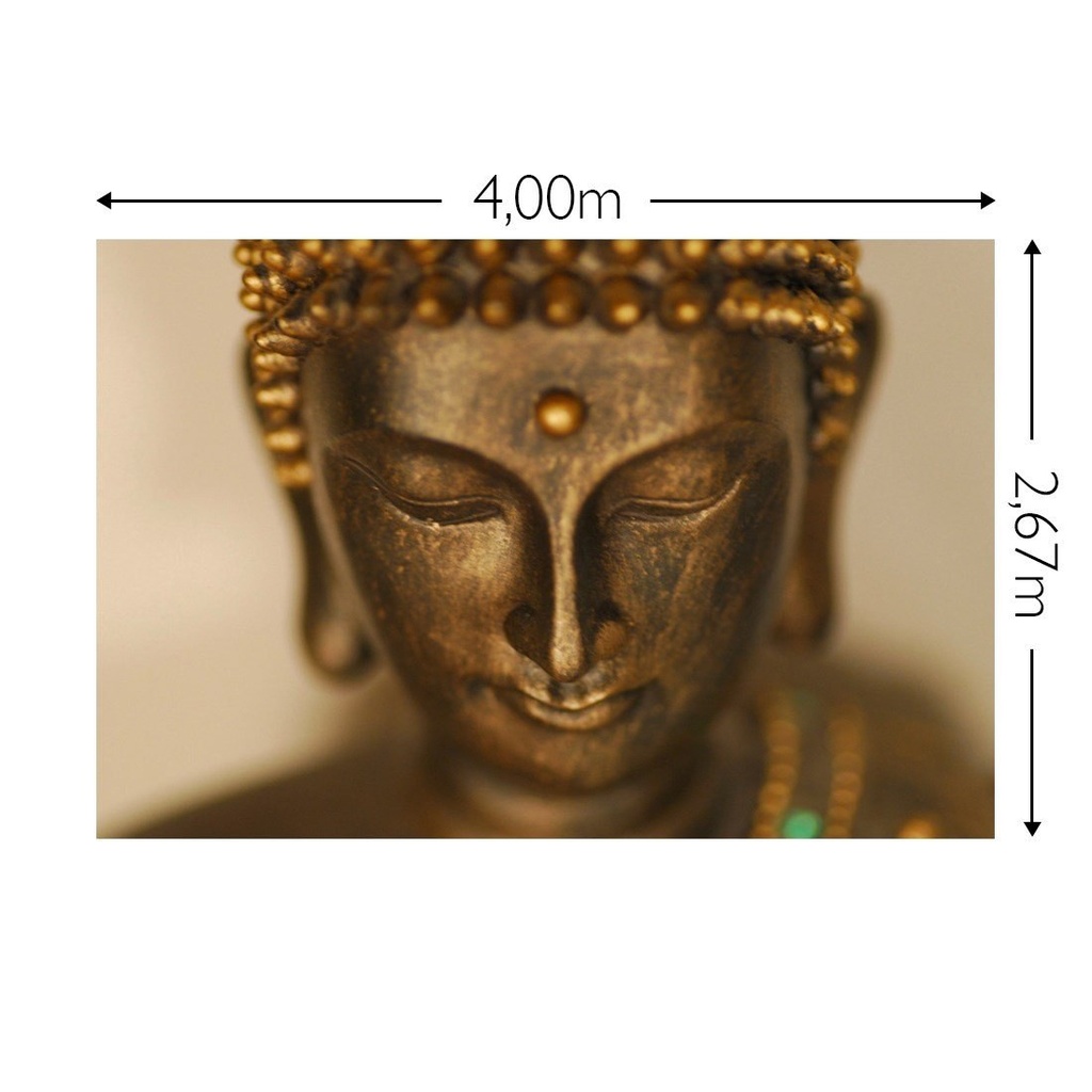 JOKA Fotobehang P242 400 cm br x 267 cm hg 130 grams vlies mat (1)