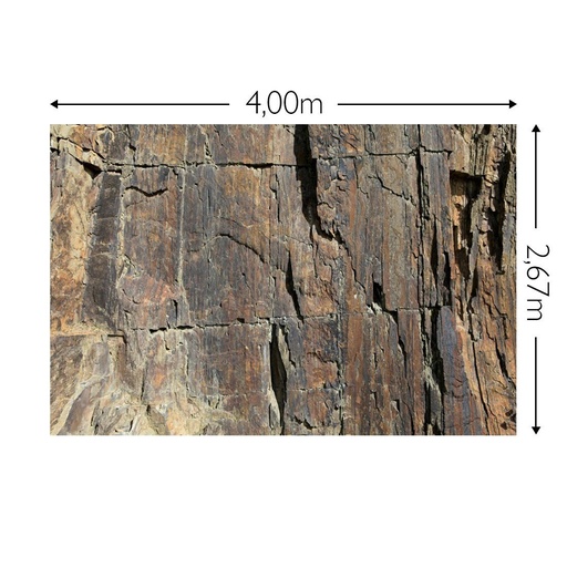 JOKA Fotobehang P119 400 cm br x 267 cm hg 200 grams vlies (1)