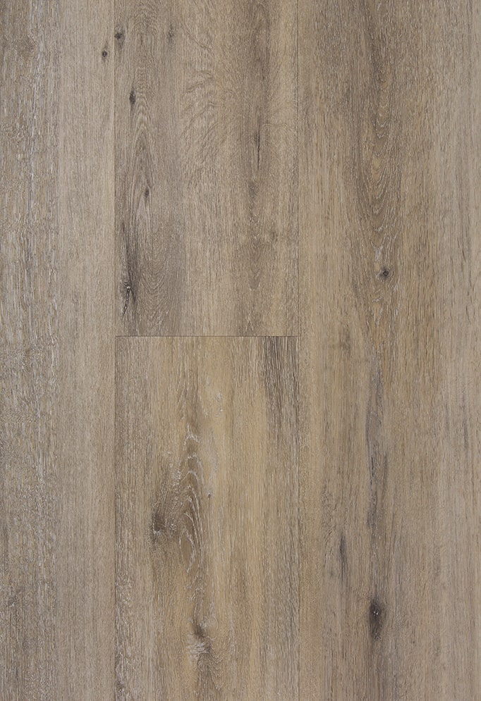 [CAT-TFD-FLOORTILE-PRO-1146-1] Pro+ 1146-1