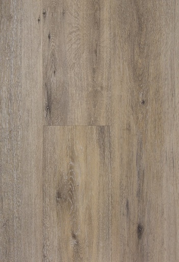 [CAT-TFD-FLOORTILE-PRO-1146-1] Pro+ 1146-1