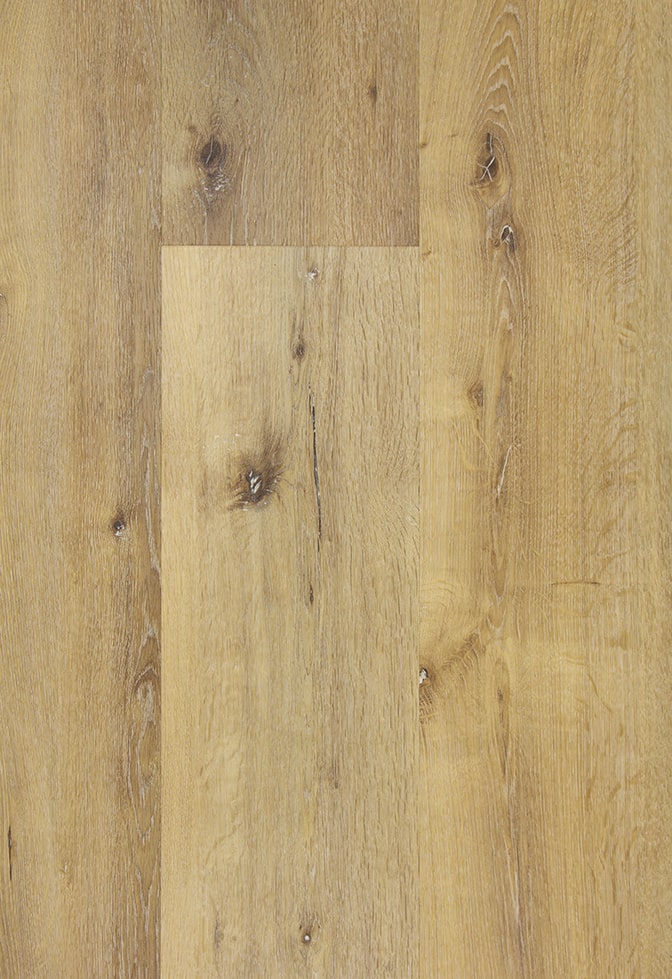 [CAT-TFD-FLOORTILE-PRO-1145-2] Pro+ 1145-2