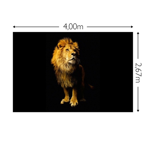 JOKA Fotobehang P181 400 cm br x 267 cm hg 200 grams vlies (1)