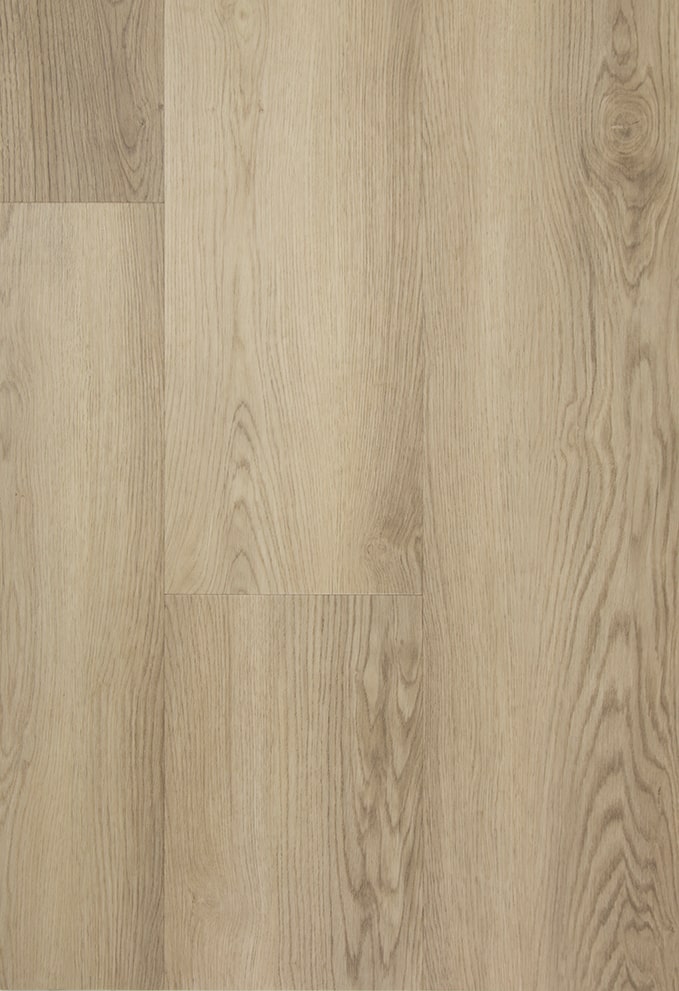 [CAT-TFD-FLOORTILE-PRO-13] Pro 13