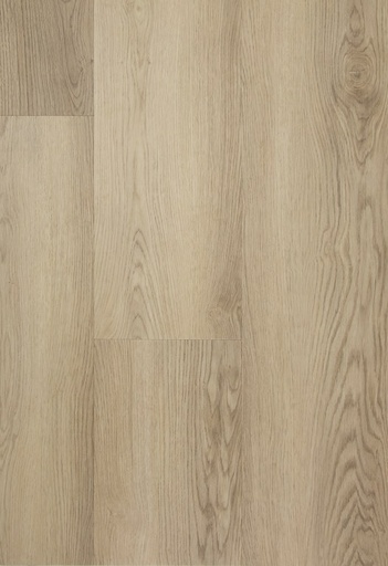 [CAT-TFD-FLOORTILE-PRO-13] Pro 13