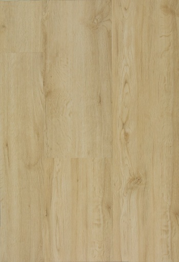 [CAT-TFD-FLOORTILE-PRO-12] Pro 12