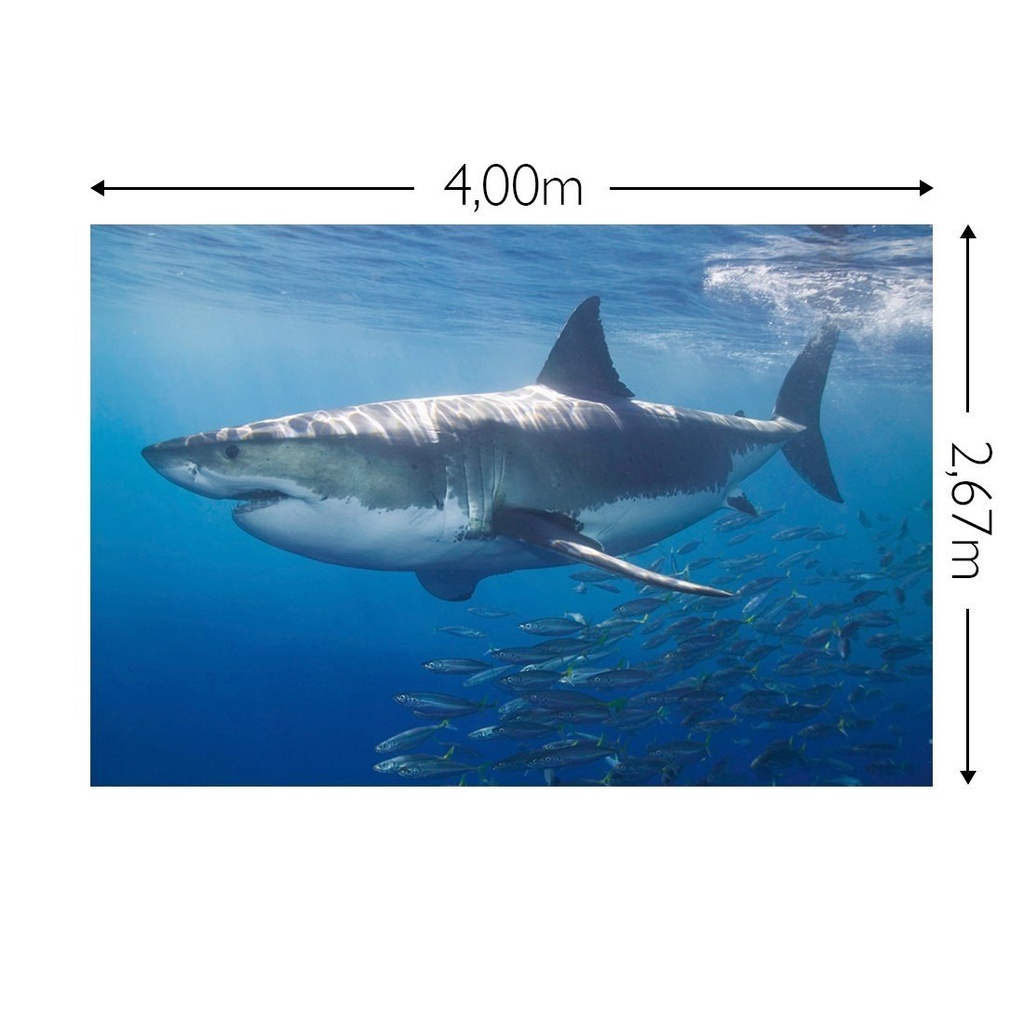 JOKA Fotobehang P184 400 cm br x 267 cm hg 200 grams vlies (1)