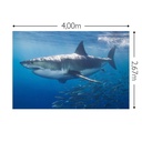 JOKA Fotobehang P184 400 cm br x 267 cm hg 200 grams vlies (1)