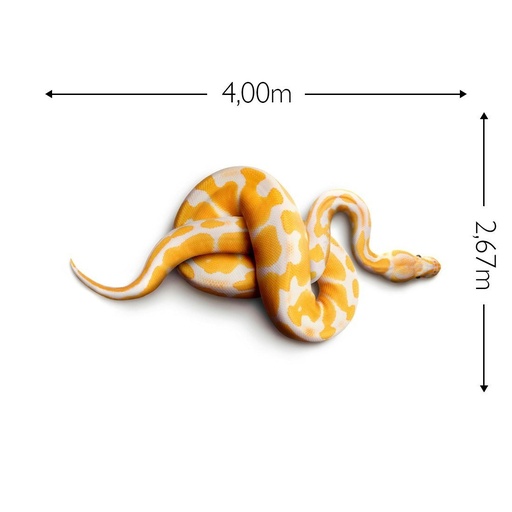 JOKA Fotobehang P189 400 cm br x 267 cm hg 200 grams vlies (1)