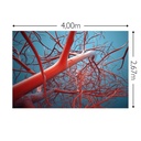 JOKA Fotobehang P215 400 cm br x 267 cm hg 200 grams vlies (1)
