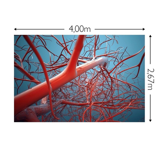 JOKA Fotobehang P215 400 cm br x 267 cm hg 200 grams vlies (1)