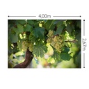 JOKA Fotobehang P216 400 cm br x 267 cm hg 200 grams vlies (1)