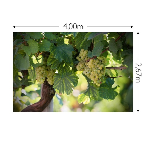 JOKA Fotobehang P216 400 cm br x 267 cm hg 200 grams vlies (1)