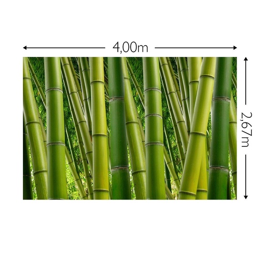 JOKA Fotobehang P222 400 cm br x 267 cm hg 200 grams vlies (1)