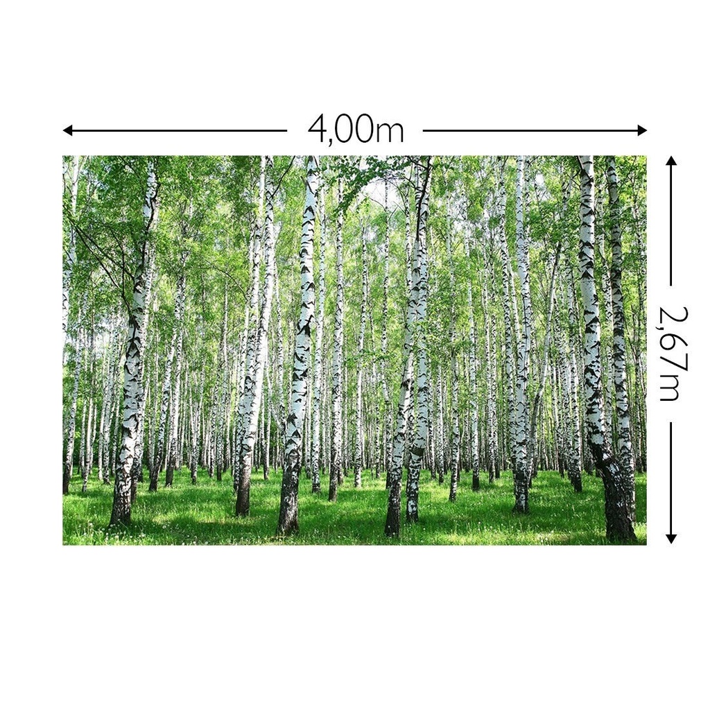 JOKA Fotobehang P224 400 cm br x 267 cm hg 200 grams vlies (1)