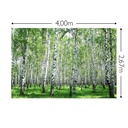 JOKA Fotobehang P224 400 cm br x 267 cm hg 200 grams vlies (1)