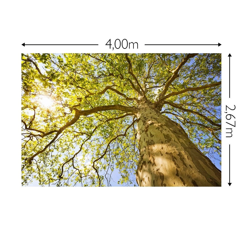 JOKA Fotobehang P225 400 cm br x 267 cm hg 200 grams vlies (1)