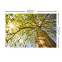 JOKA Fotobehang P225 400 cm br x 267 cm hg 200 grams vlies (1)