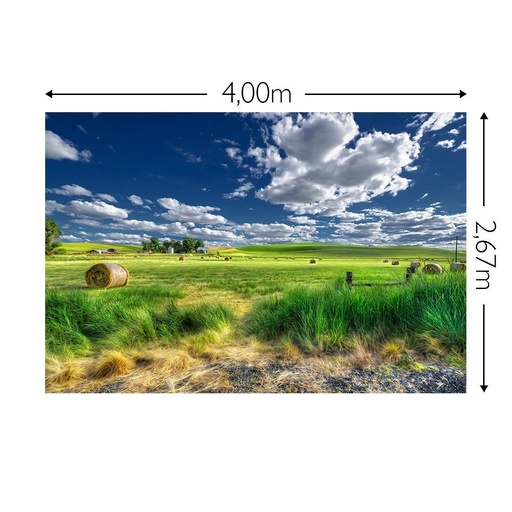 JOKA Fotobehang P236 400 cm br x 267 cm hg 200 grams vlies (1)