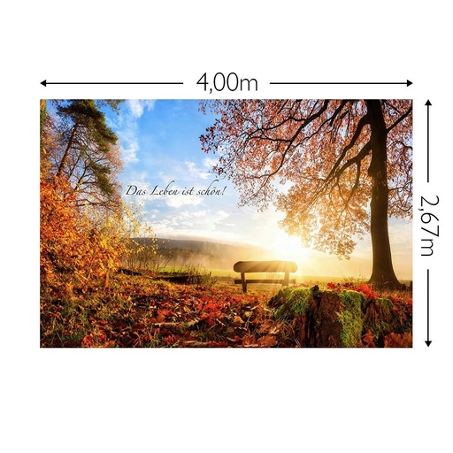 JOKA Fotobehang P247 400 cm br x 267 cm hg 200 grams vlies (1)