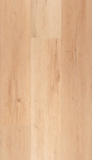 [CAT-TFD-FLOORTILE-NATURE-281-1] Nature 281-1