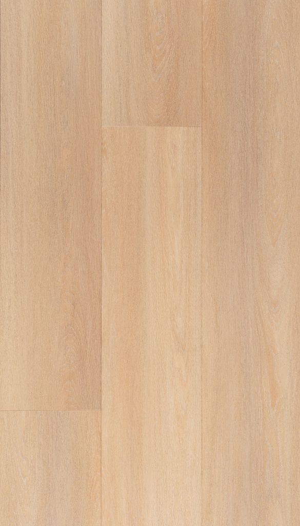 [CAT-TFD-FLOORTILE-NATURE-237-6] Nature 237-6