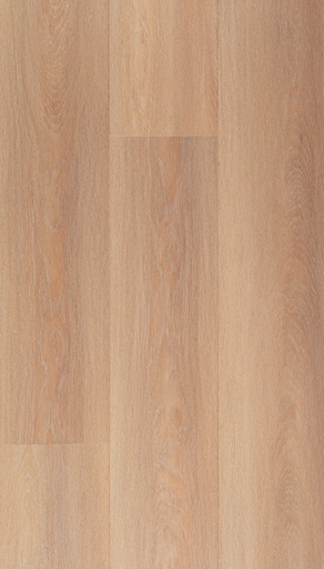[CAT-TFD-FLOORTILE-NATURE-237-1] Nature 237-1