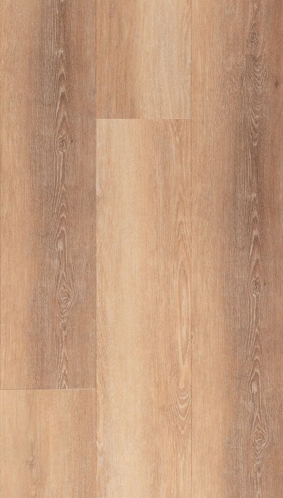 [CAT-TFD-FLOORTILE-NATURE-109-8] Nature 109-8